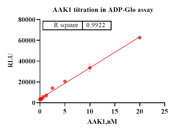 AAK1 His Tag Protein, Human