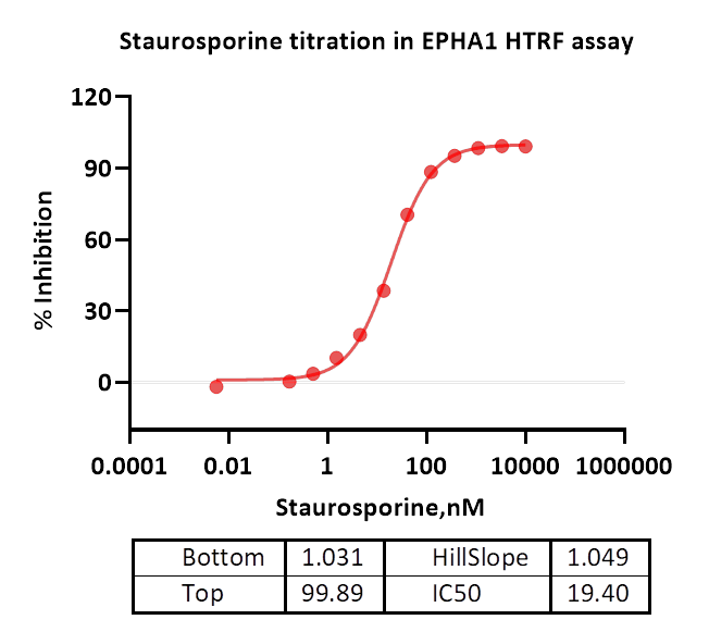 EPHA1 Protein