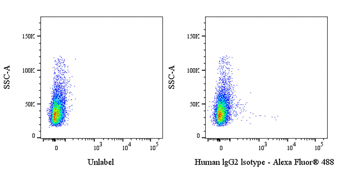 Invivo Human IgG2 Isotype Control