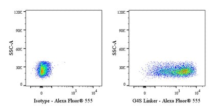 G4S Linker Recombinant Rabbit mAb (Alexa Fluor® 555 Conjugate) (S-711-23)