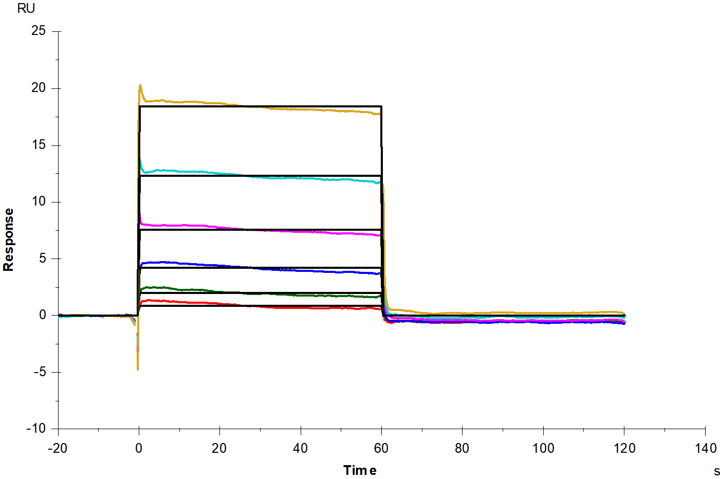 Galectin-1 Protein, Human