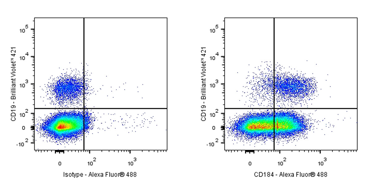 Mouse Anti-Human CD184 Antibody (S-R635)