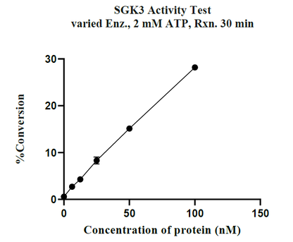 SGK3 GST Tag Protein, Human