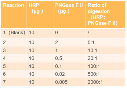 PNGase F II