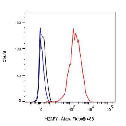 H2AFY Recombinant Rabbit mAb (S-1256-35)