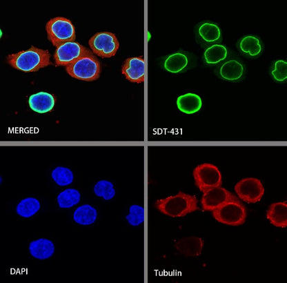 Histone H3 (tri methyl K27) Recombinant Rabbit mAb (SDT-431-118)