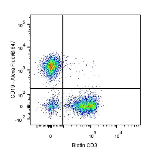 Biotin Rat Anti-Mouse CD3 Antibody (17A2)