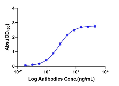 ErbB3/Her3 His Tag Protein, Human