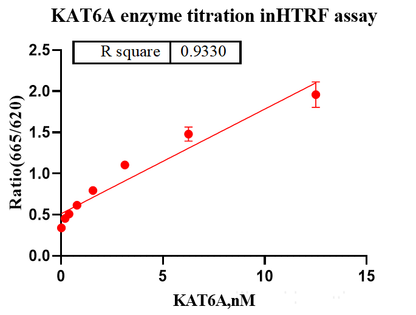 KAT6A Protein, Human