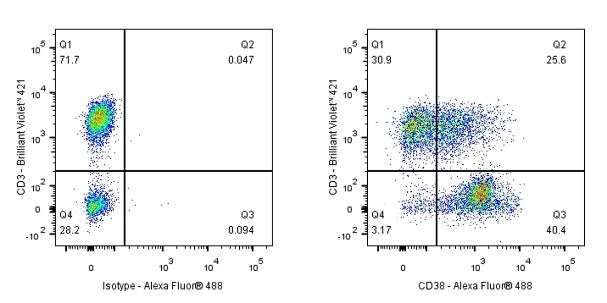 Mouse Anti-Human CD38 Antibody (S-R507-3)