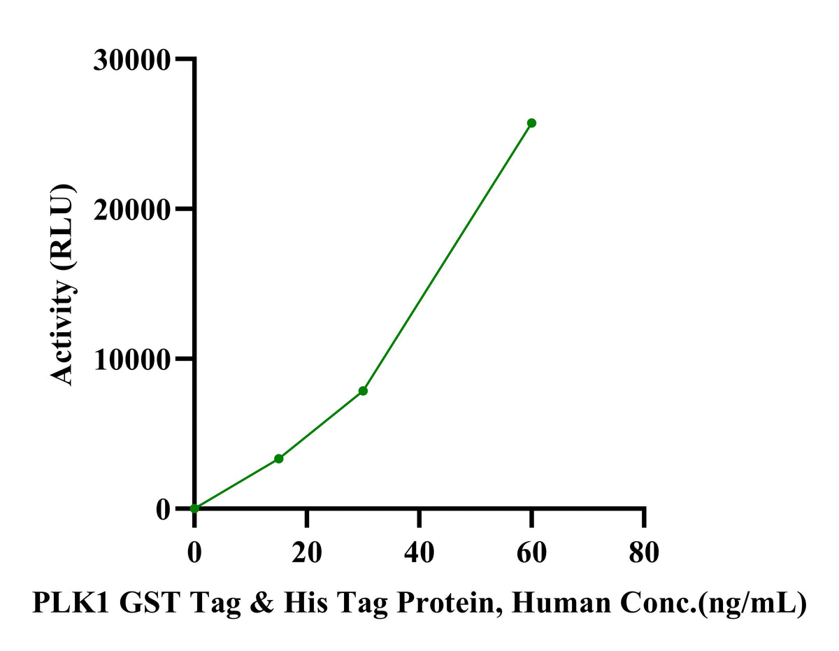 PLK1 GST&His Tag Protein, Human