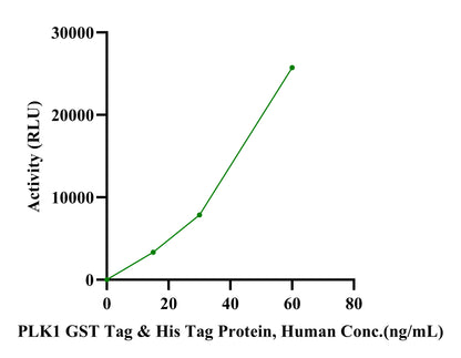 PLK1 GST&His Tag Protein, Human