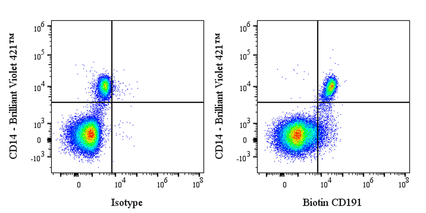 Biotin Mouse Anti-Human CD191 Antibody (S-3286)