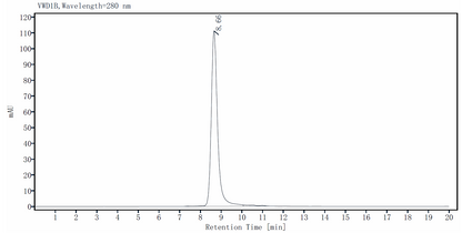 IL-17F Protein, Rat