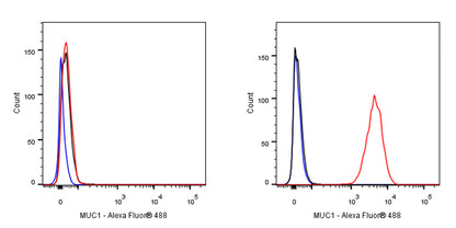 S-RMab® MUC1/EMA Recombinant Rabbit mAb (SDT-776-49)