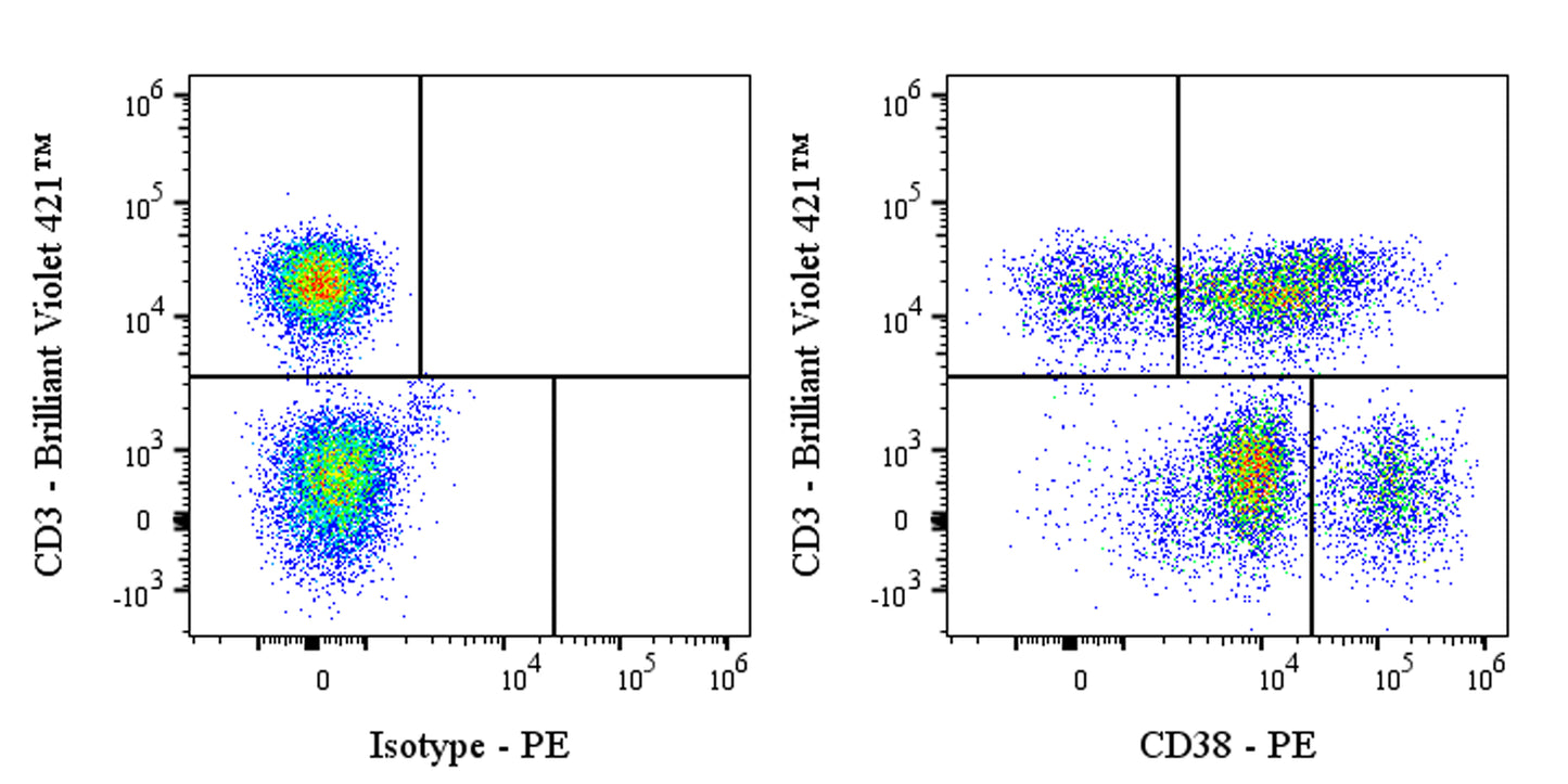PE Mouse Anti-Human CD38 Antibody (S-1966-20)