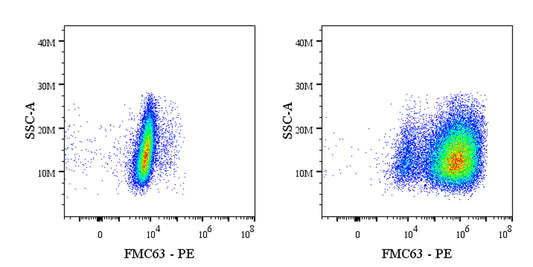 FMC63 Recombinant Mouse mAb (PE Conjugate) (S-5031)