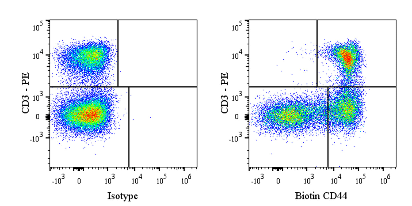 Biotin Mouse Anti-Rat CD44 Antibody (S-R623)