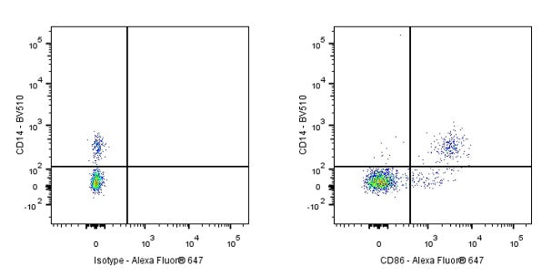 Alexa Fluor® 647 Rabbit Anti-Human CD86 Antibody (S-990-1)