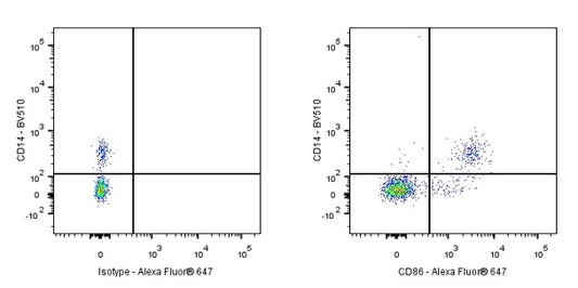 Alexa Fluor® 647 Rabbit Anti-Human CD86 Antibody (S-990-1)