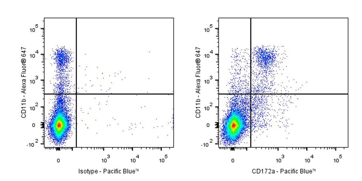 Pacific Blue Rat Anti-Mouse CD172a (SIRPα) Antibody (S-R713)