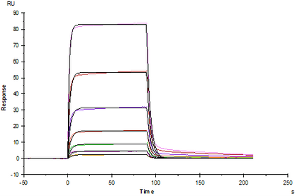 PD-1 His Tag Protein, Cynomolgus