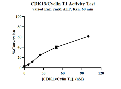 CDK13/Cyclin T1 Protein