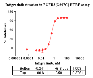 FGFR3[G697C] Protein