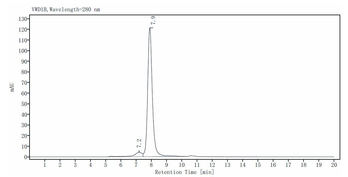 MMP-8 His Tag Protein, Human
