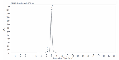 MMP-8 His Tag Protein, Human