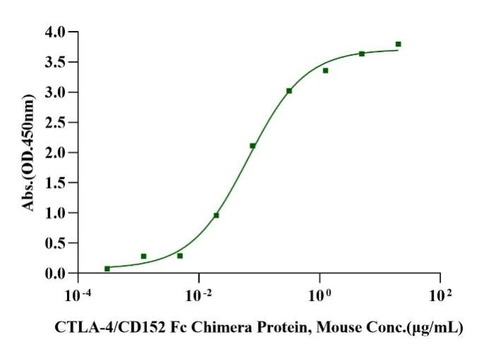 B7-2/CD86 His Tag Protein, Mouse