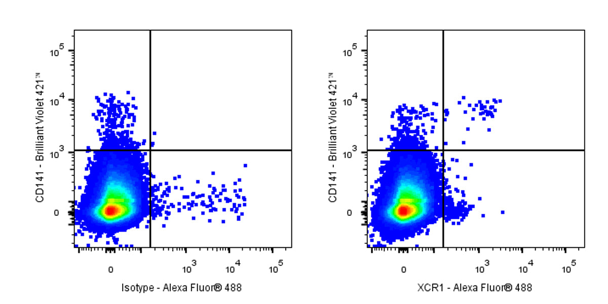Alexa Fluor® 488 Rat Anti-Human XCR1 Antibody (S-3294)