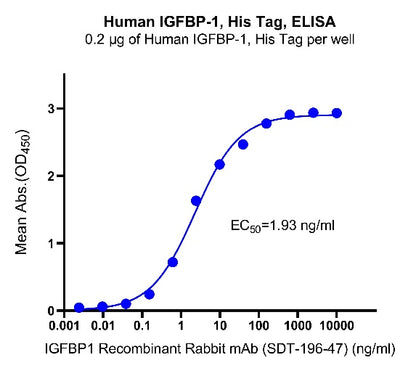 Human IGFBP-1, His Tag