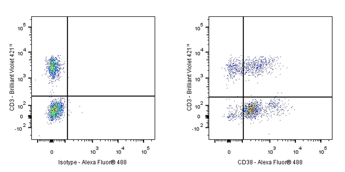 Mouse Anti-Human CD38 Antibody (S-1966-20)