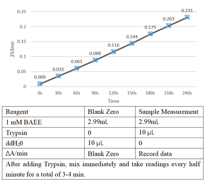 Recombinant Trypsin