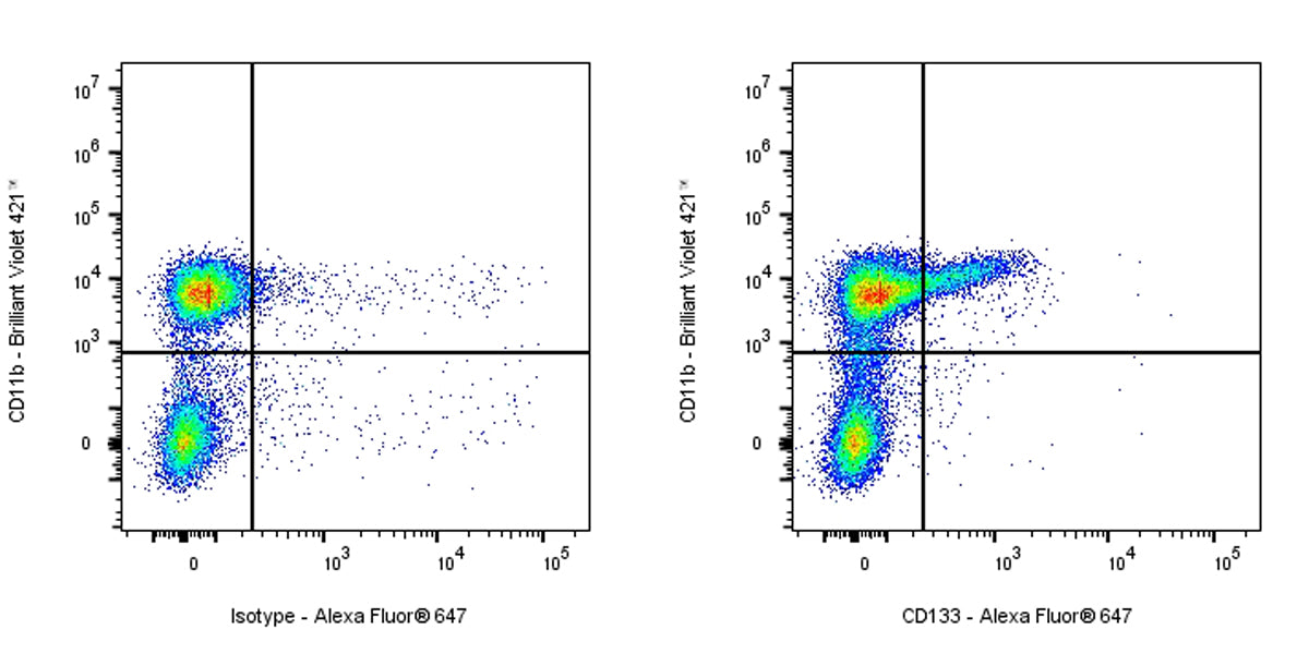 Rat Anti-Mouse CD133 Antibody (S-R696)