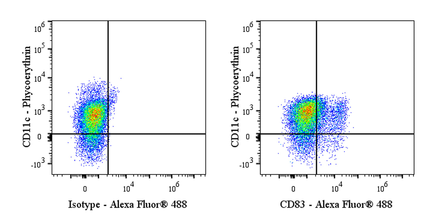 Alexa Fluor® 488 Mouse Anti-Human CD83 Antibody (HB15e)