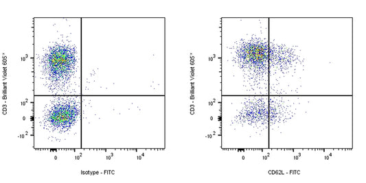 FITC Mouse Anti-Rat CD62L Antibody (OX-85)