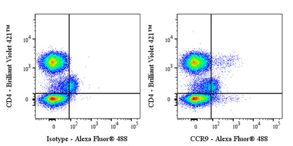 CCR9 Recombinant Rabbit mAb (S-2555-73)