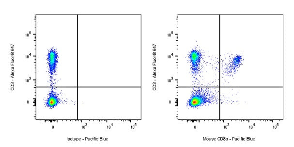 Pacific Blue Rat anti-mouse CD8α Antibody (2.43)