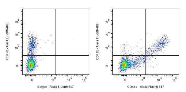 Mouse Anti-Human CD41a Antibody (HIP8)