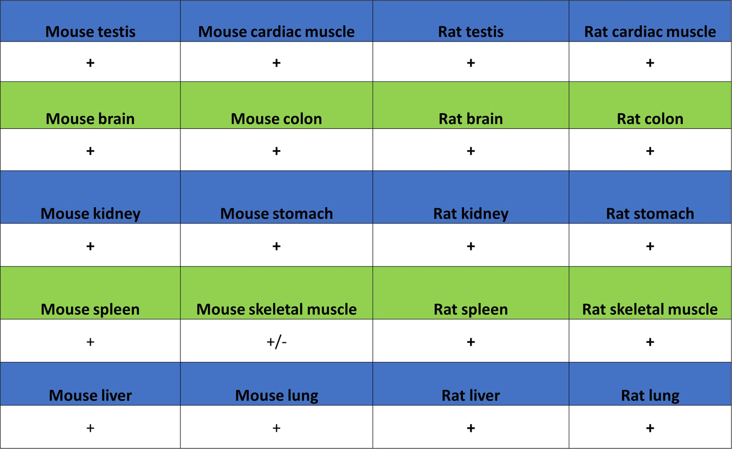 PGK1 Mouse mAb