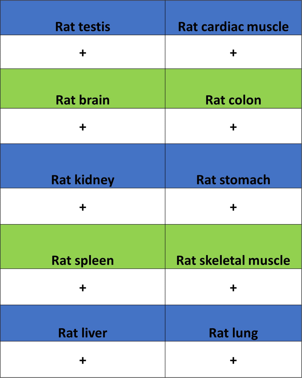 IRF3 Recombinant Rabbit mAb (S-3916-22)