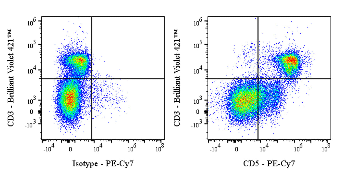 PE-Cy7 Rat Anti-Mouse CD5 Antibody (53-7.3)