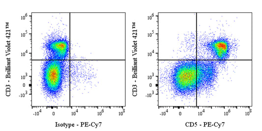 PE-Cy7 Rat Anti-Mouse CD5 Antibody (53-7.3)