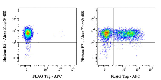 FLAG Tag Recombinant Rabbit mAb (APC Conjugate) (S-SC044)