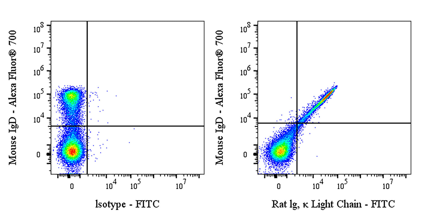 FITC Mouse Anti-Rat Ig, κ Light Chain Antibody (S-4515)