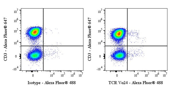 Mouse Anti-Human TCR Vα24 Antibody (S-4518)