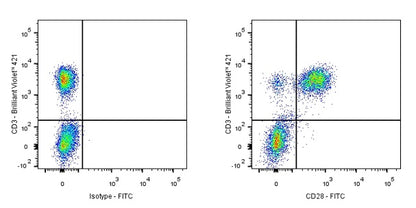 FITC Mouse Anti-Human/ Monkey CD28 Antibody (CD28.2)