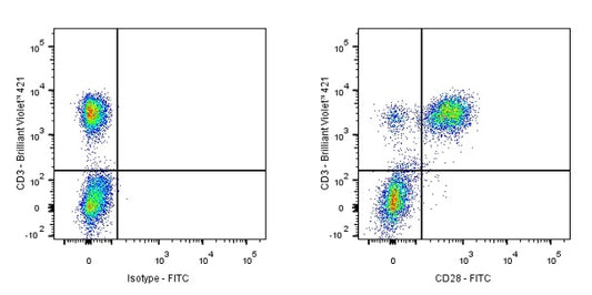 FITC Mouse Anti-Human/ Monkey CD28 Antibody (CD28.2)